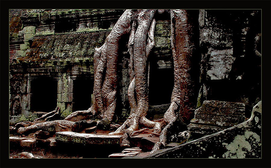 Ta Prohm 2......