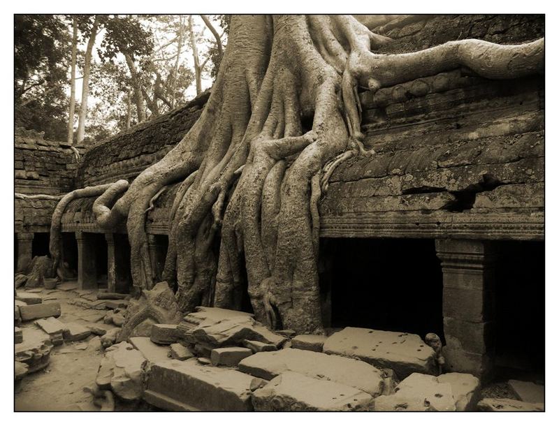 Ta Prohm