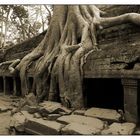 Ta Prohm