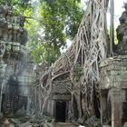 Ta Prohm