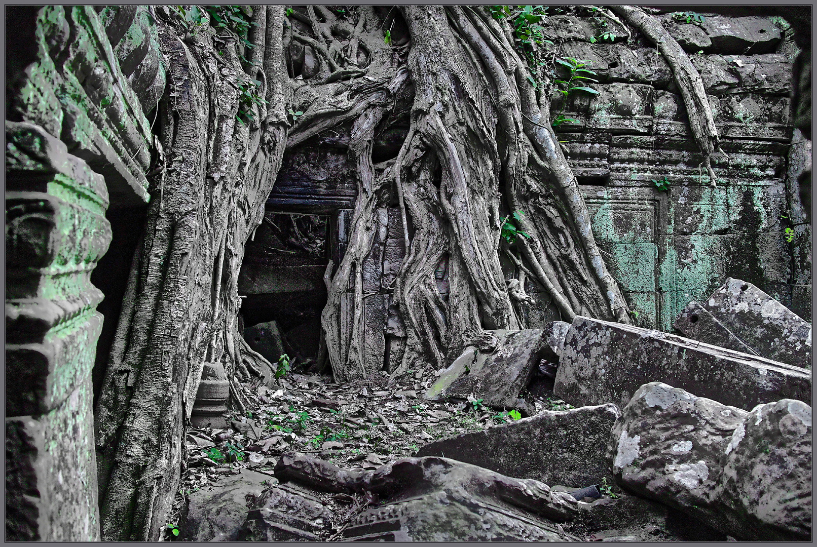 Ta Prohm ©