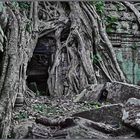 Ta Prohm ©