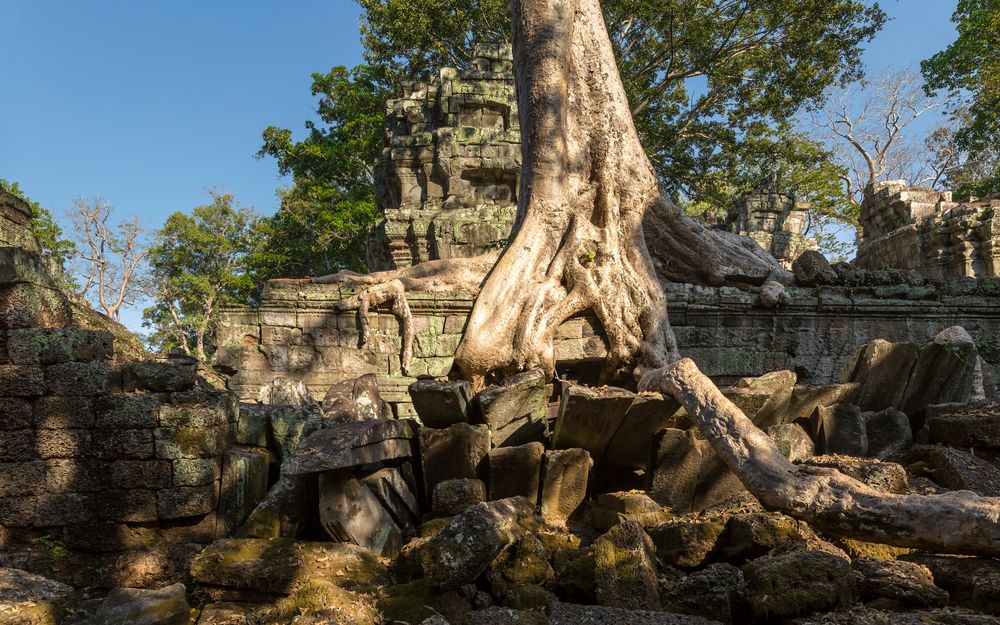 Ta Prohm