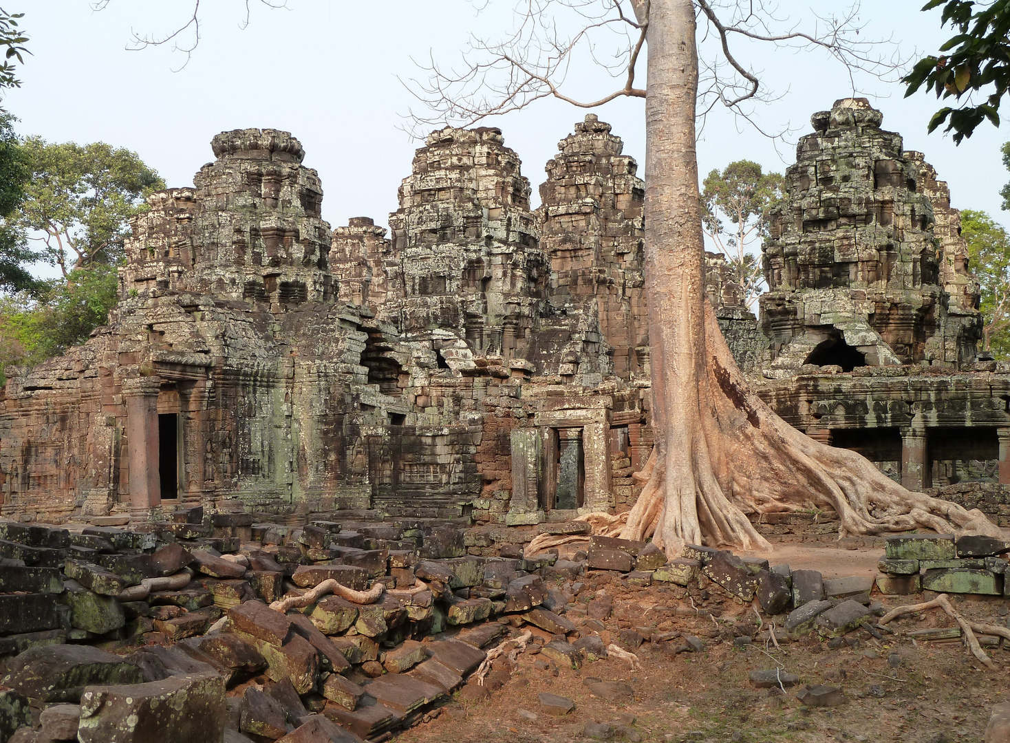 Ta Prohm