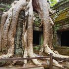 Ta Prohm