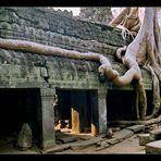 Ta Prohm