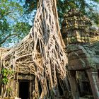 Ta-Prohm