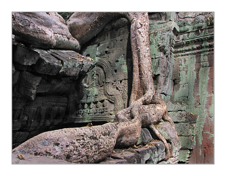 Ta Prohm 4