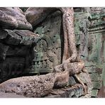 Ta Prohm 4