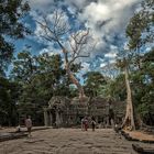 Ta Prohm - 4