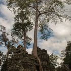 Ta Prohm