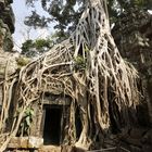 Ta Prohm