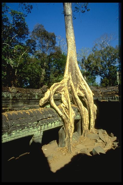 Ta Prohm