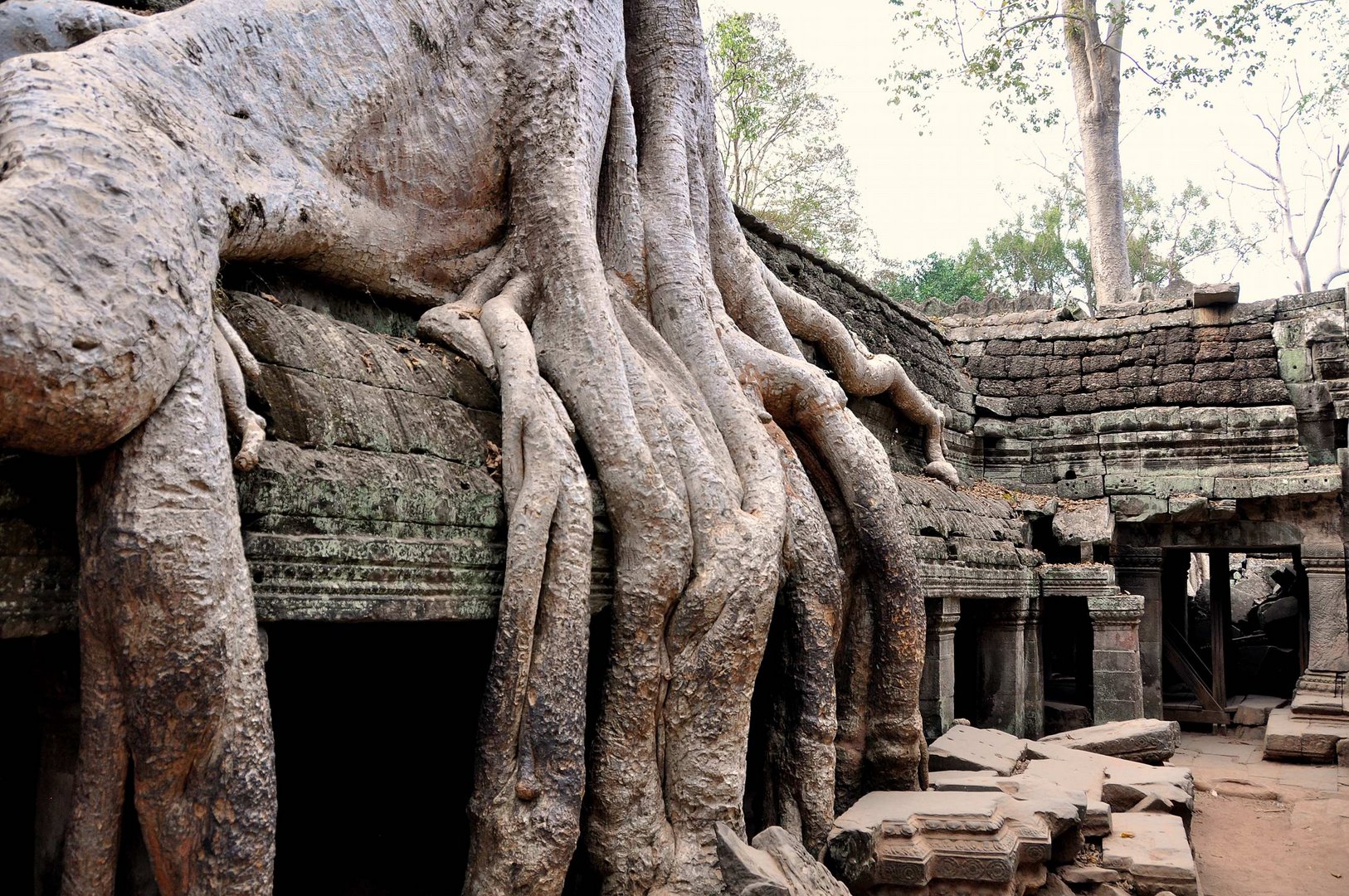 Ta Prohm