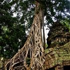 ta prohm