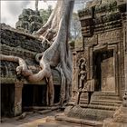 Ta Prohm