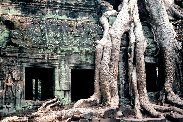 Ta Prohm