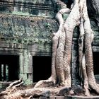 Ta Prohm