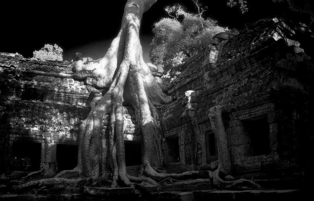 Ta Prohm