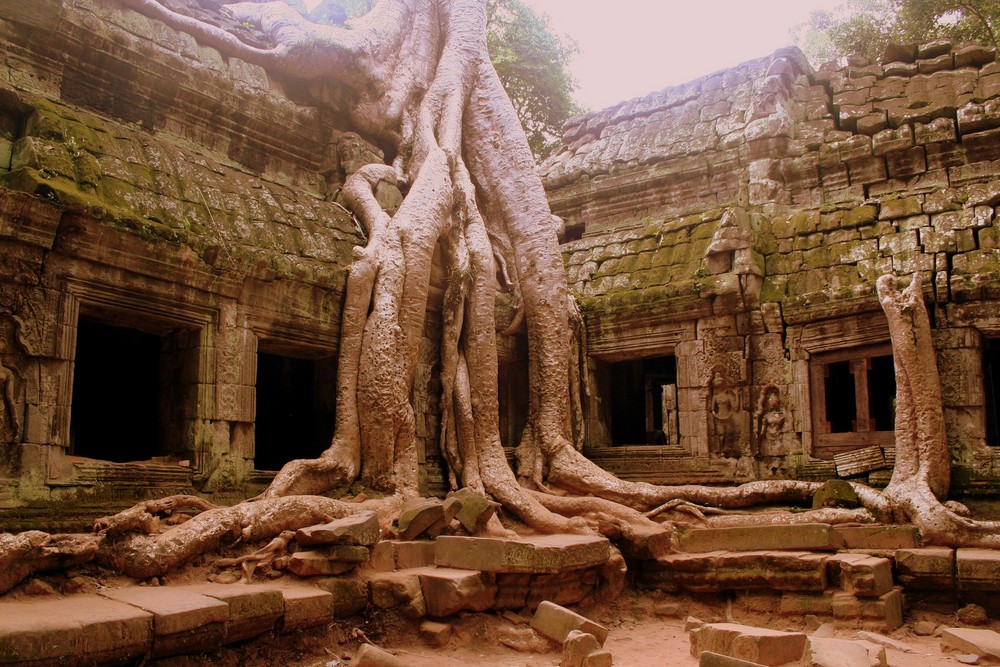 Ta Prohm