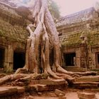 Ta Prohm