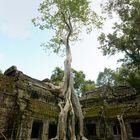 Ta Prohm