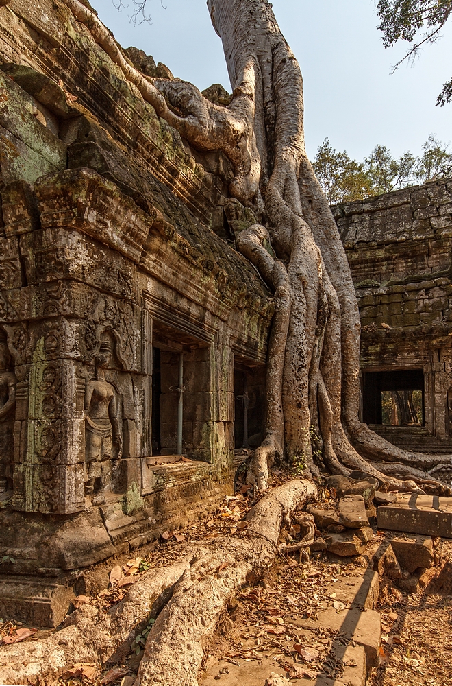 Ta Prohm