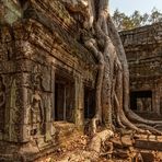 Ta Prohm