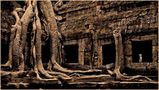 Ta Prohm... by Stefan Neuner