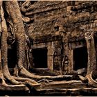 Ta Prohm...