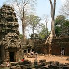 Ta Prohm