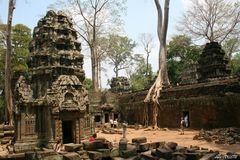 Ta Prohm