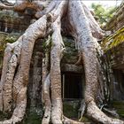 Ta Prohm