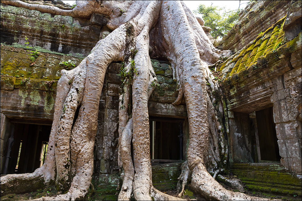 Ta Prohm