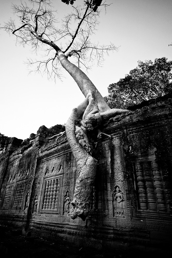 Ta Prohm