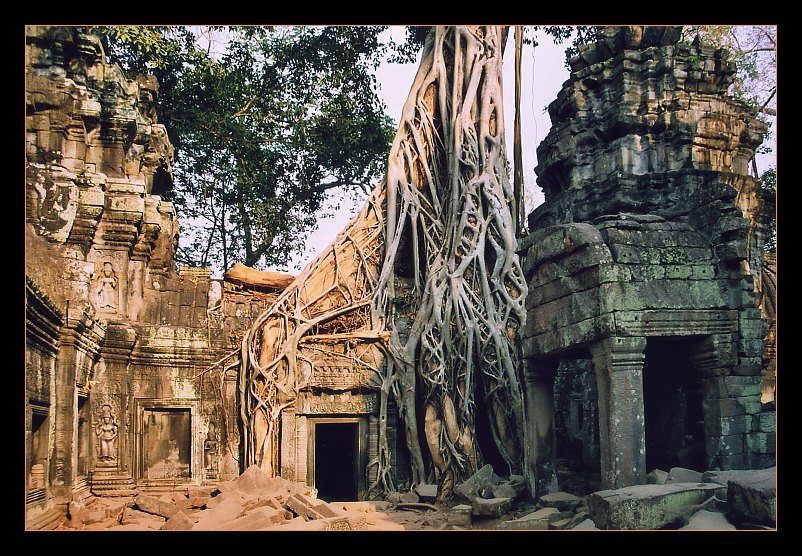 Ta Prohm