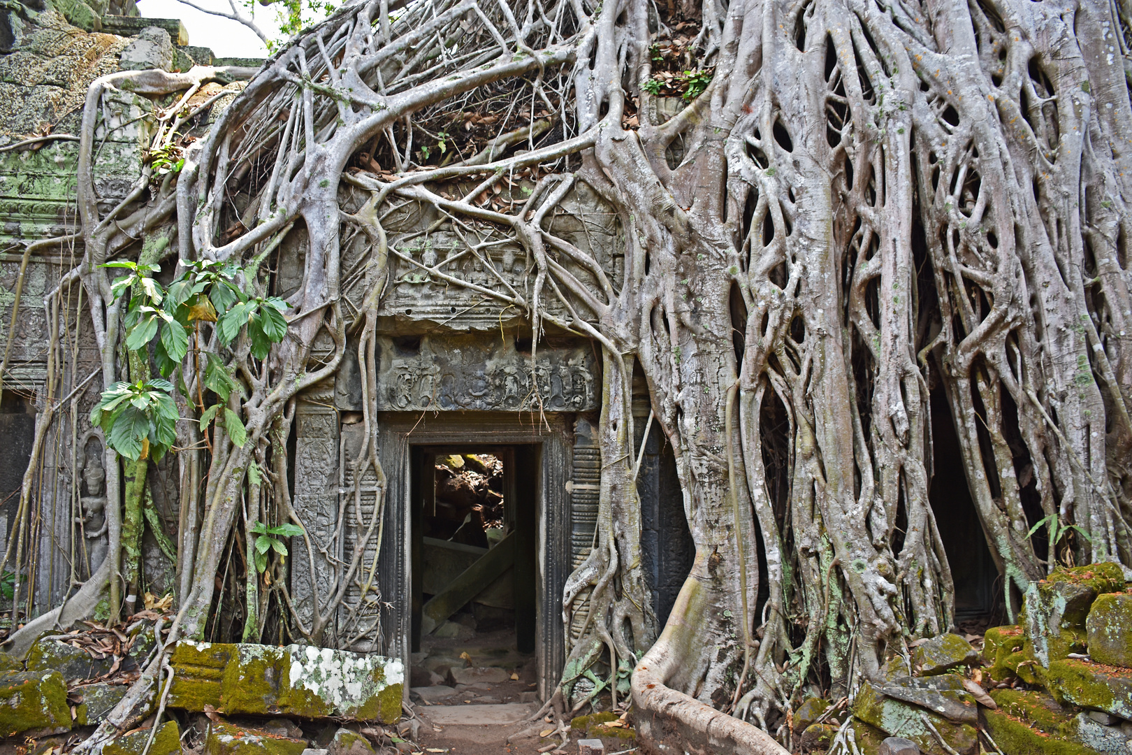 Ta Prohm