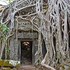 Ta Prohm