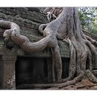 Ta Prohm