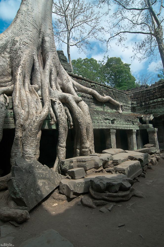 Ta Prohm