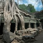 Ta Prohm