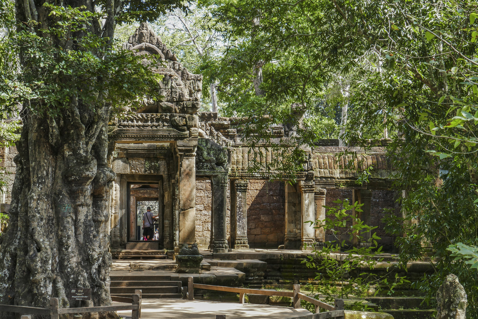 ...Ta Prohm...