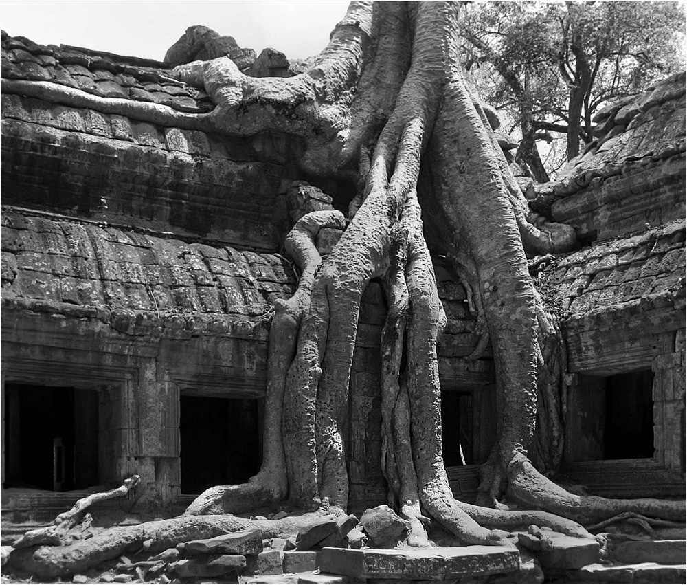 Ta Prohm