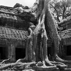 Ta Prohm