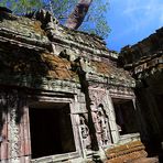 : Ta Prohm - Angkor :