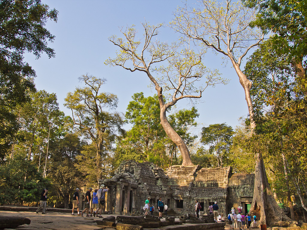 Ta Prohm - Anziehungspunkt am fühen Morgen