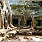 Ta Prohm auch...