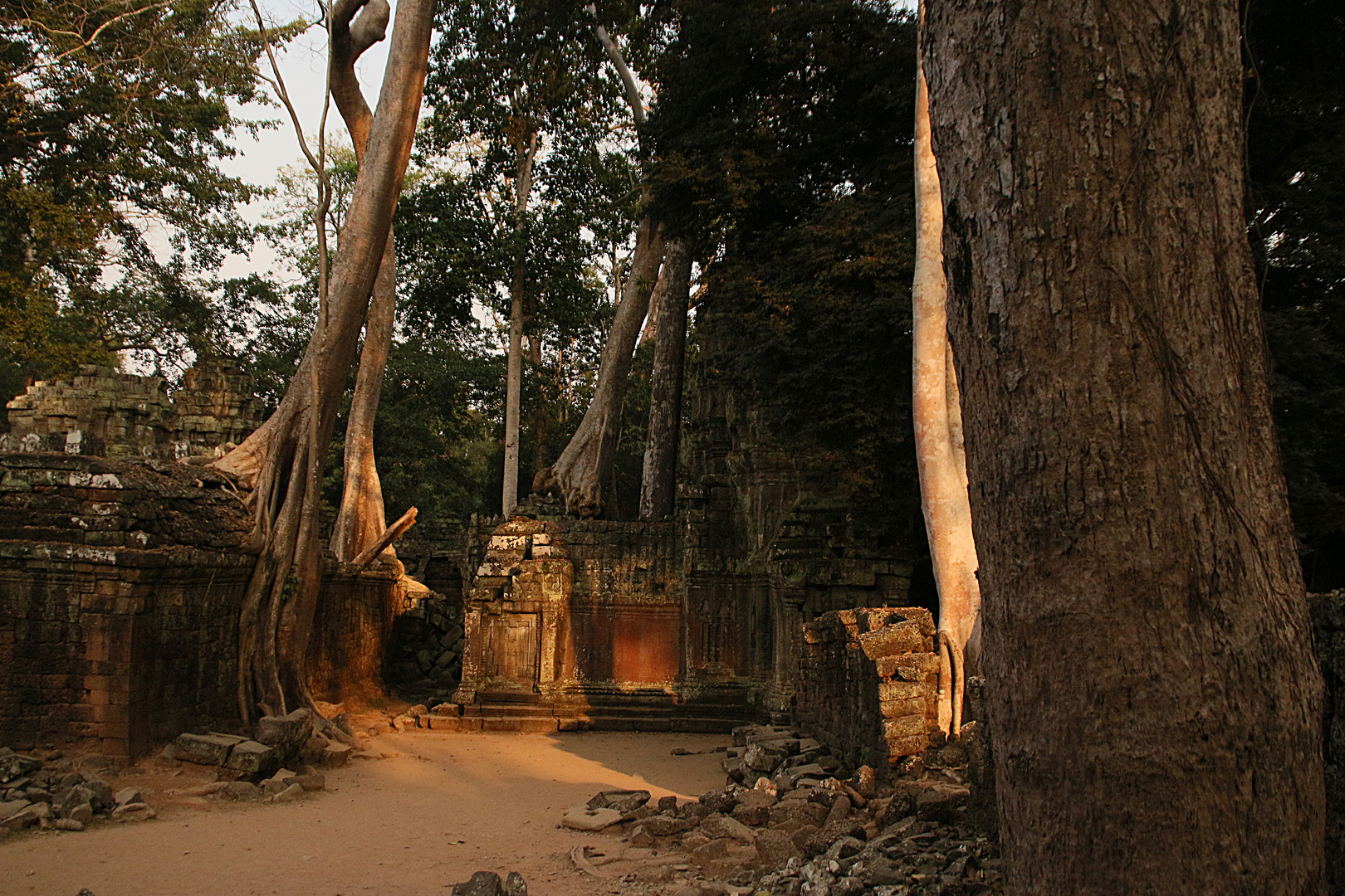 Ta Prohm