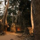 Ta Prohm