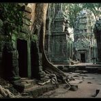 Ta Prohm